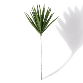 Art Plants Dragon Tree Dark Green Art Plants Dragon Tree Dark Green