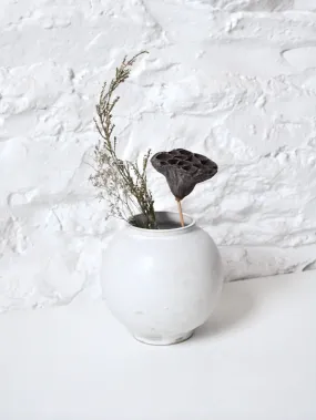 Moon Jar in Milk Moon Jar in Milk