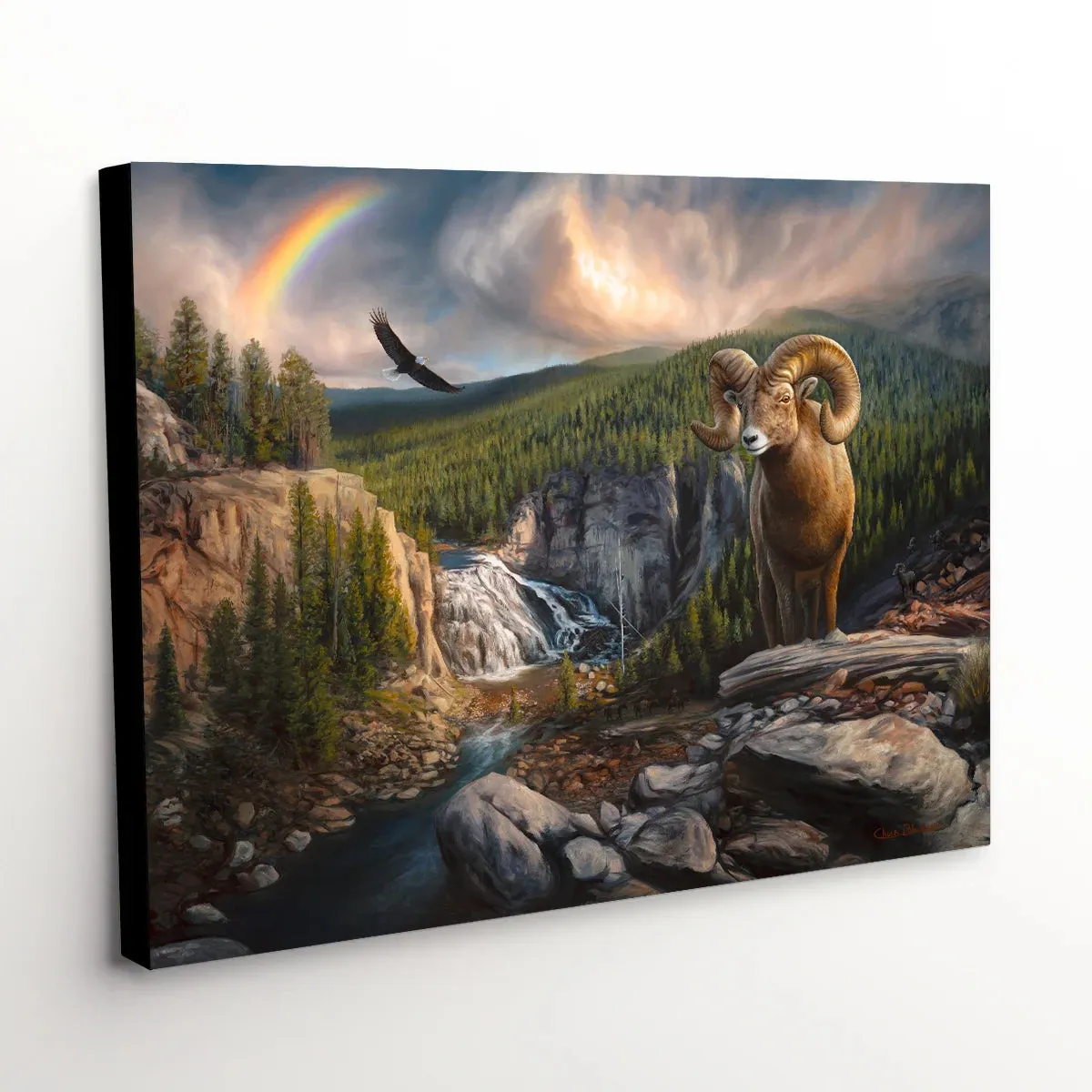 "A Wild Journey" - Bighorn Sheep Wildlife Canvas Art Print