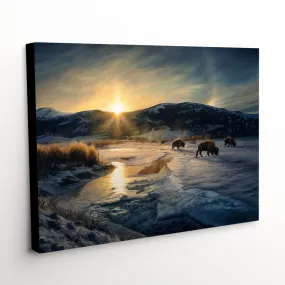 "Sundog Days" - Sunrise Landscape Canvas Art Print, Yellowstone Bison "Sundog Days" - Sunrise Landscape Canvas Art Print, Yellowstone Bison