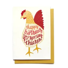 Spring Chicken Birthday Card Spring Chicken Birthday Card